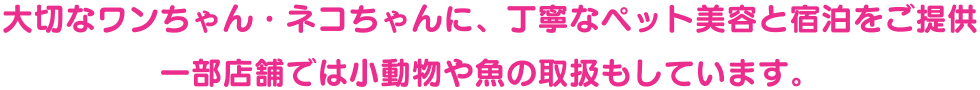 大切なワンちゃん・ネコちゃんに、丁寧なペット美容と宿泊をご提供 一部店舗では小動物や魚の取扱もしています。